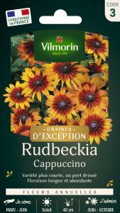 Rudbeckia Cappuccino - Graines d'Exception